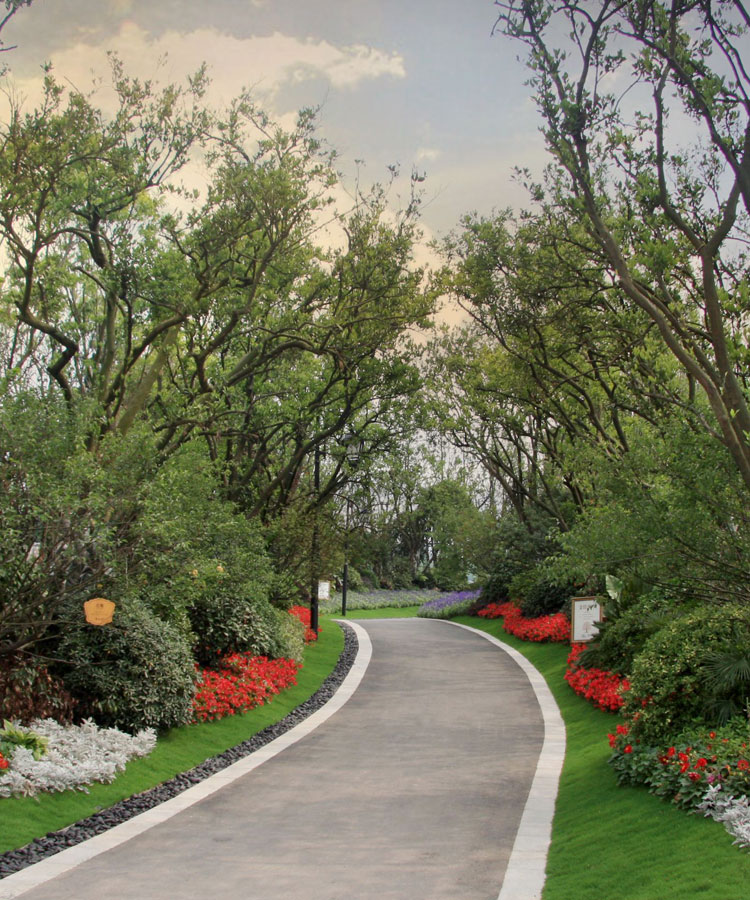 讓我們一起種植希望！